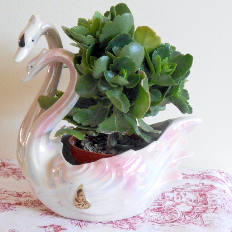 Cache-pot - CYGNES