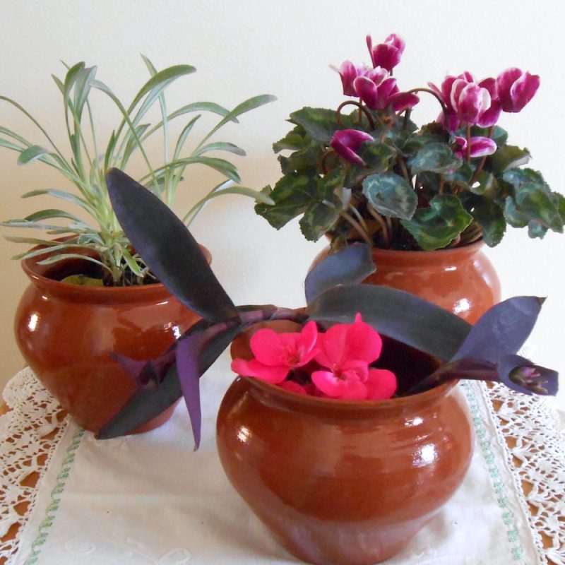 Pot - Terre marron 3 PIECES